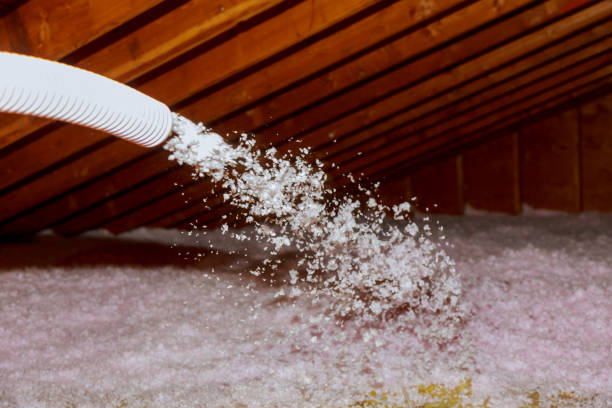 Best Residential Insulation Services  in Dewey, OK